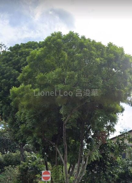 3 Bed Semi-Detached House (Landed) for Sale in Boon Leat Terrace - Image 10