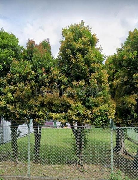 3 Bed Semi-Detached House (Landed) for Sale in Boon Leat Terrace - Image 12