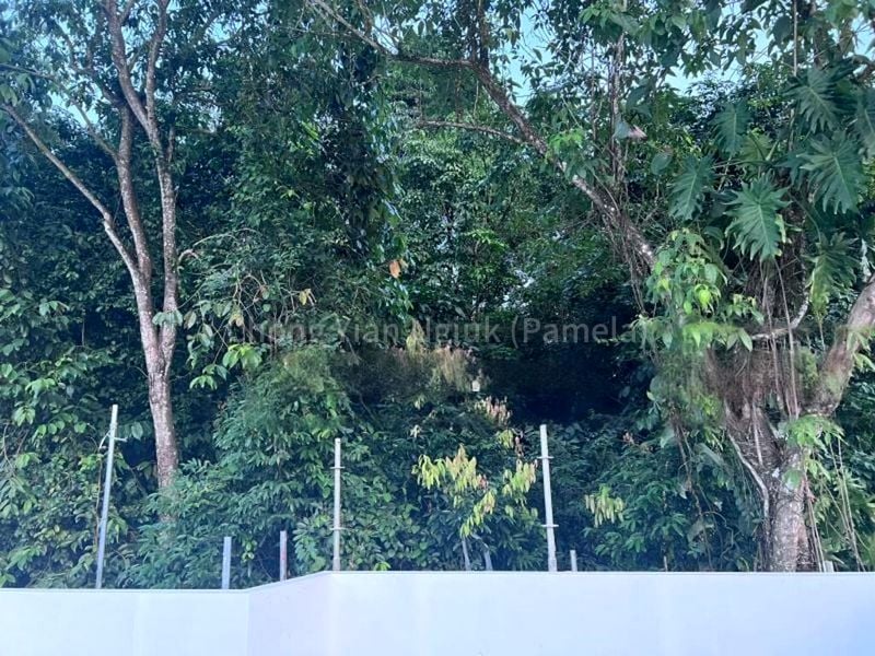 5 Bed Bungalow (Landed) for Sale in  Clementi Arcade - Image 2