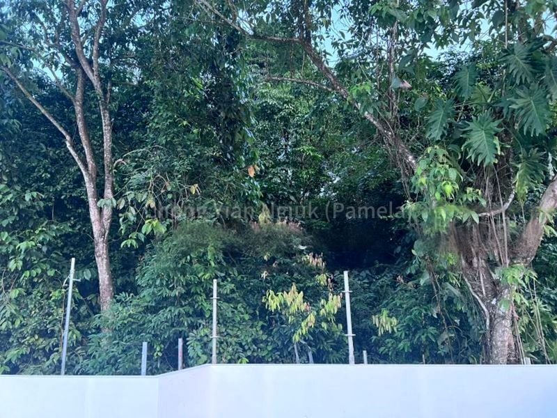 5 Bed Bungalow (Landed) for Sale in  Clementi Arcade - Image 9