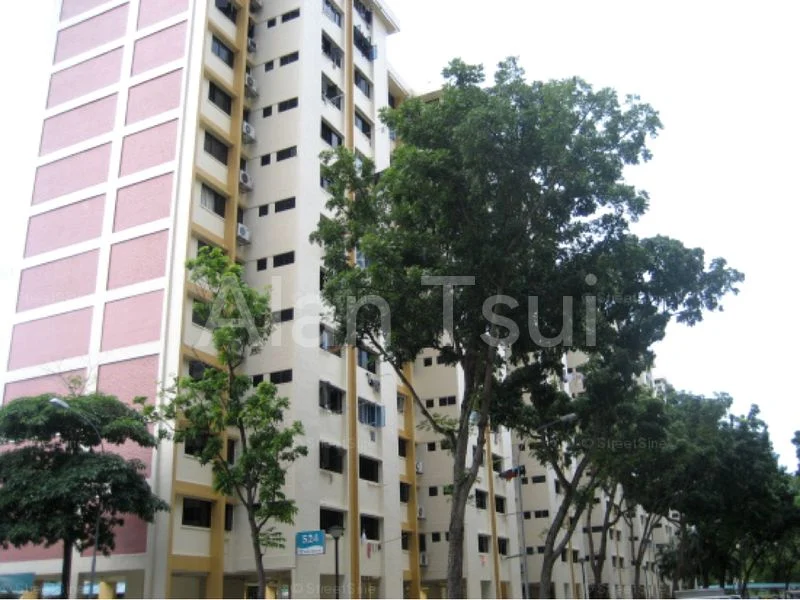 Common Room (HDB) for Rent in  524 Bedok North Street 3 - Image 4