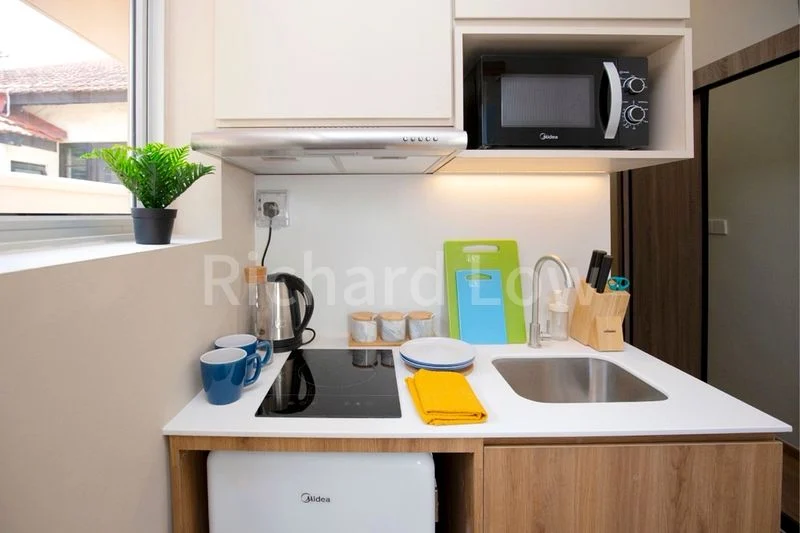 Master Room (Landed) for Rent in  Serangoon Road - Image 8