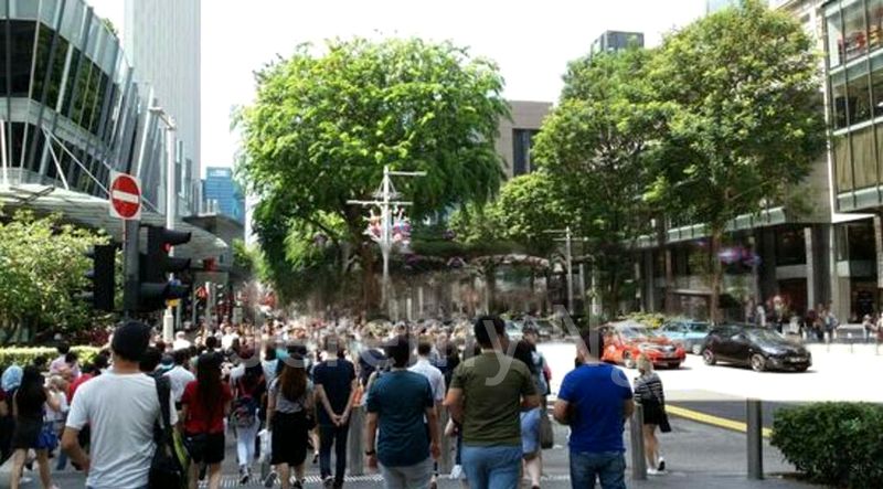 Food & Beverage for Rent: ️Prime & Rare F&B Shop @ Somerset | Sheltered to MRT & Bus Stop | Office & Residential Crowd - Image 5