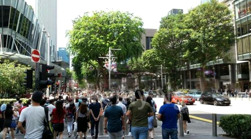 Food & Beverage for Rent: ️Prime & Rare F&B Shop @ Somerset | Sheltered to MRT & Bus Stop | Office & Residential Crowd - Image 2