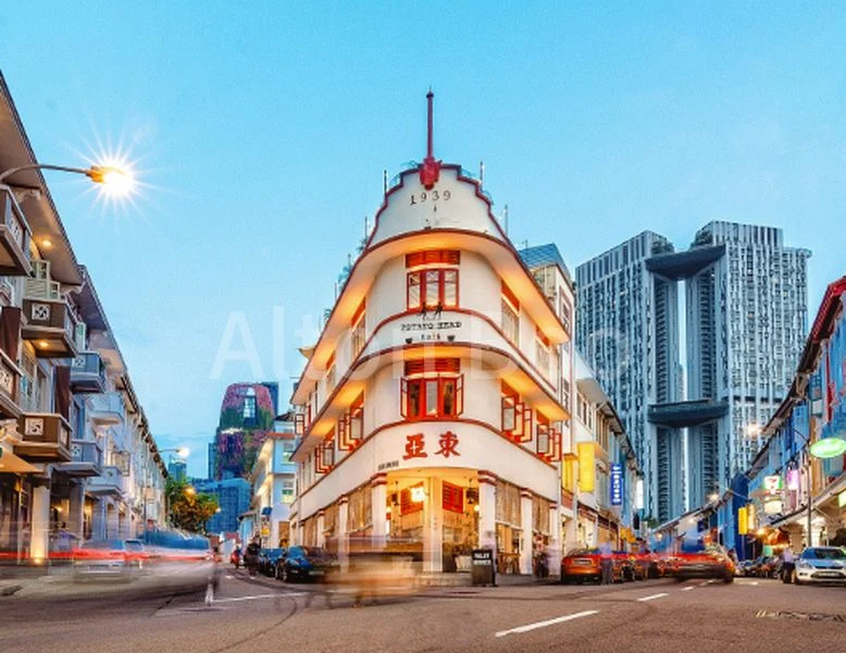 Shop / Shophouse for Sale in  Bukit Pasoh Extnsn Constn Area - Image 2