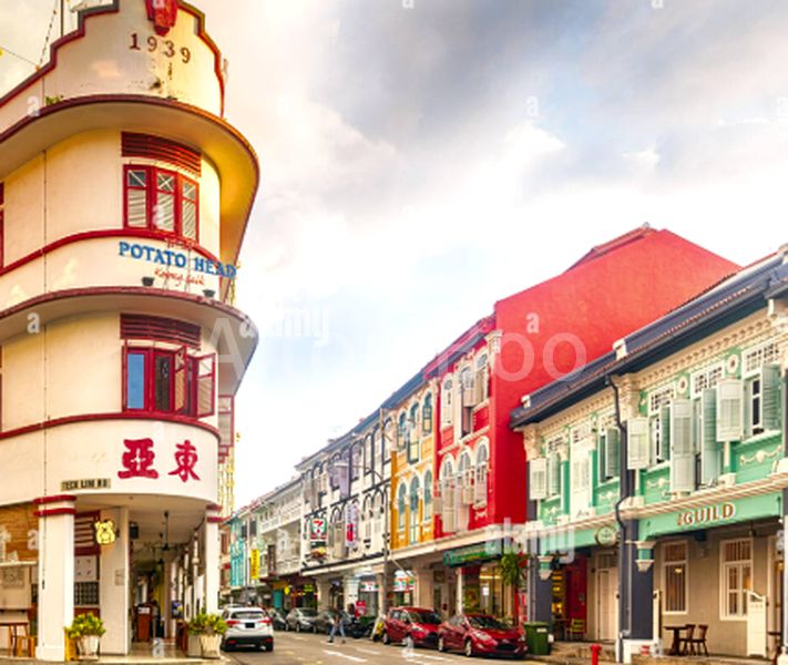 Shop / Shophouse for Sale in  Bukit Pasoh Extnsn Constn Area - Image 3