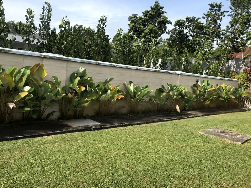 4 Bed Bungalow (Landed) for Sale in  Binjai Park - Image 6