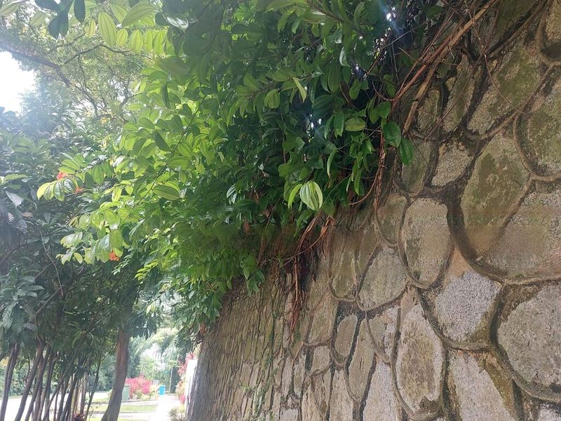 4 Bed Bungalow (Landed) for Sale in  Binjai Park - Image 10