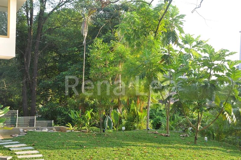 6 Bed Bungalow (Landed) for Sale in  Cluny Road - Image 15
