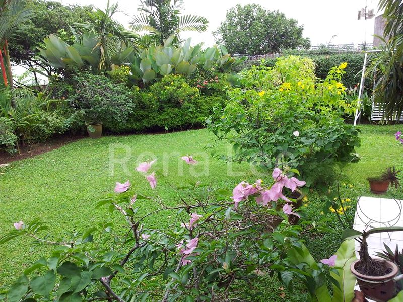6 Bed Bungalow (Landed) for Sale in  Cluny Road - Image 8