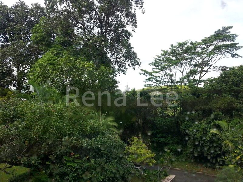 6 Bed Bungalow (Landed) for Sale in  Cluny Road - Image 4