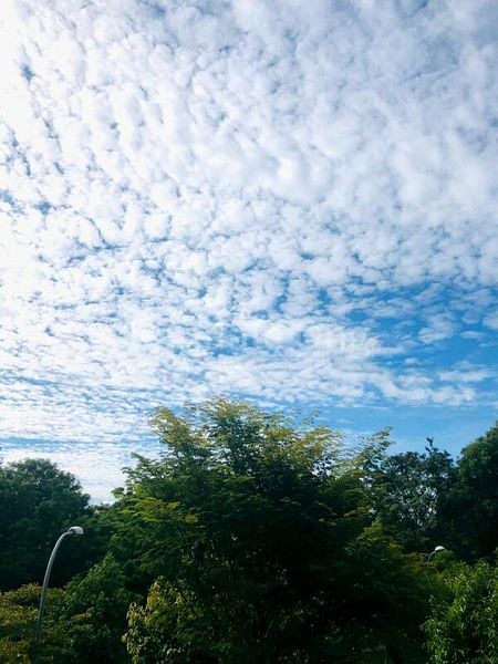 5 Room (5I) HDB for Rent in  473A Upper Serangoon Crescent - Image 12