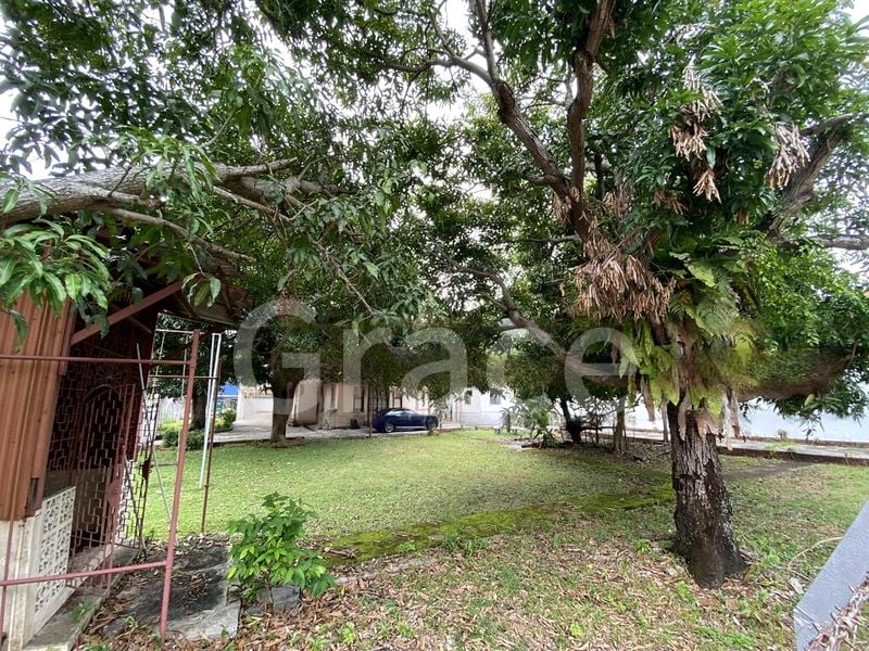 7 Bed Bungalow (Landed) for Sale in  Parkstone Road - Image 6