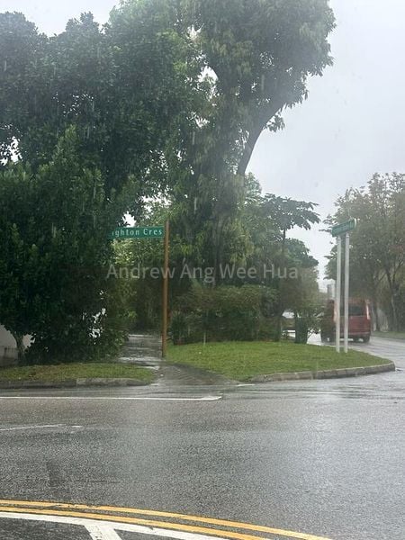 Shop / Shophouse for Rent: Serangoon Garden Way - Image 6