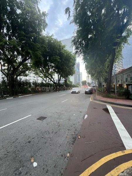 Shop / Shophouse for Rent: Beach Road - Image 4