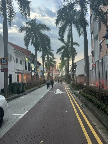 Shop / Shophouse for Rent: Beach Road - Image 3