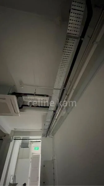 Food & Beverage for Rent: Rowell Road Shop - Image 12