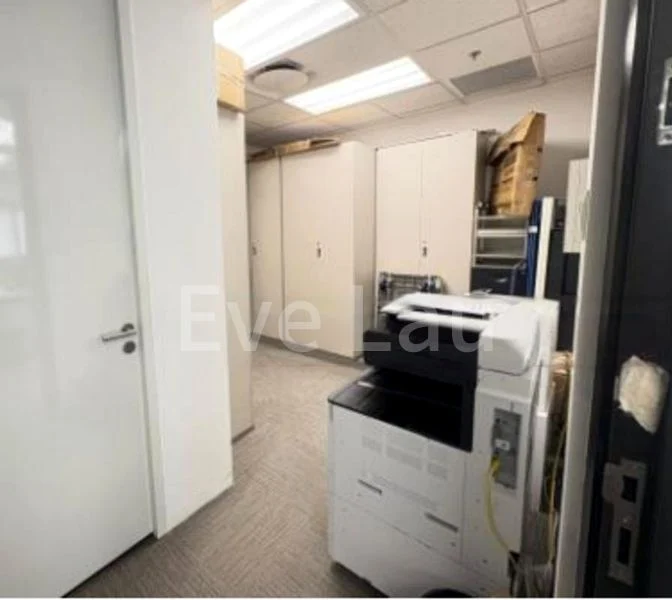 Office for Rent: Raffles City Tower - Image 3