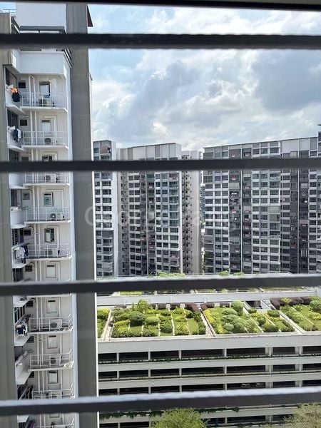 Common Room (HDB) for Rent in  141 Corporation Drive - Image 4