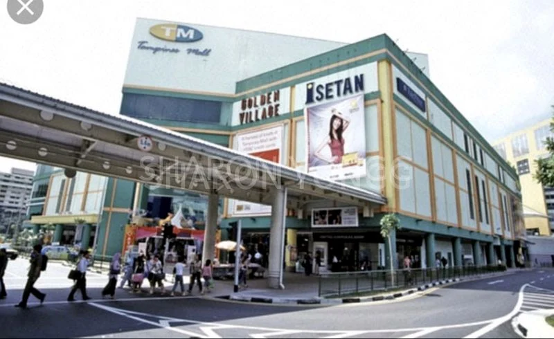 Common Room (HDB) for Rent in  867 Tampines Street 83 - Image 3