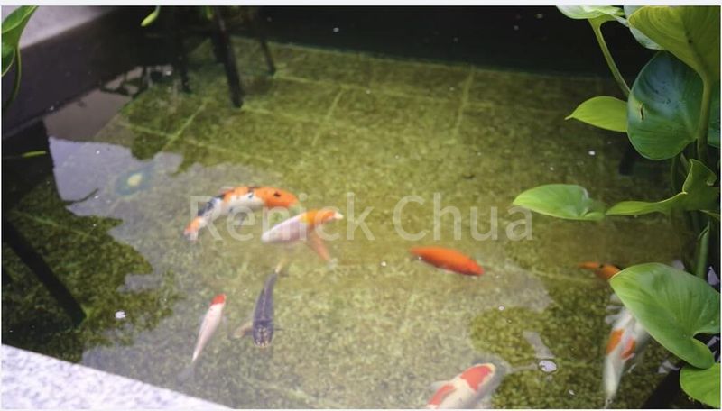 6 Bed Semi-Detached House (Landed) for Sale in  Golden Rise Estate - Image 13