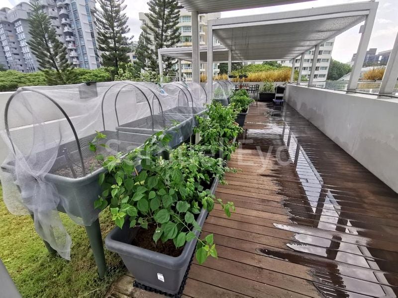 7+1 Bed Good Class Bungalow (Landed) for Sale in  Holland Park - Image 6