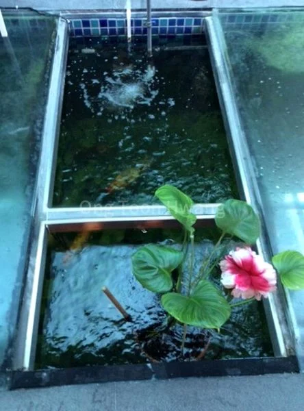 5 Bed Bungalow (Landed) for Sale in  Grange Road - Image 3