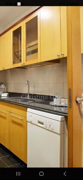 3 Bed Condo for Rent in Orchard Scotts - Image 4