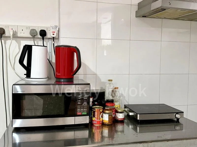 Master Room (Condo) for Rent in  People's Park Complex - Image 5