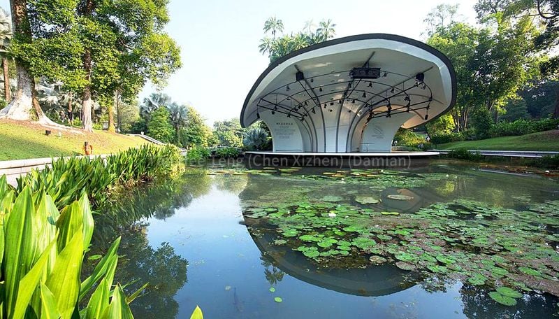 4 Bed Semi-Detached House (Landed) for Sale in  Cluny Park Road - Image 13