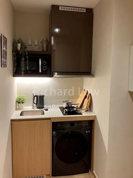 Studio Service Apartment (Condo) for Rent in  2 Mount Elizabeth Link - Image 9