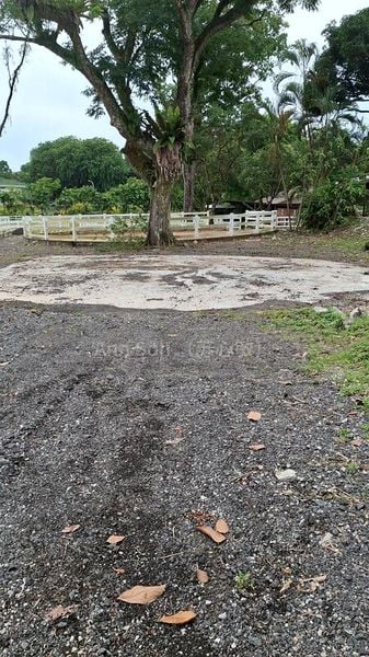 Shop / Shophouse for Rent: 530 Serangoon Road - Image 1