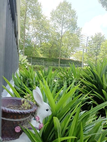 3 Bed Executive Condo for Sale in  Citylife @ Tampines - Image 12