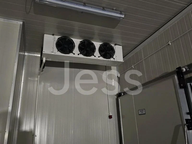 Light Industrial (B1) for Rent: 8B on Admiralty Street - Image 7