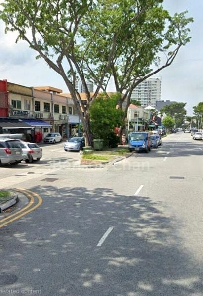 Shop / Shophouse for Rent: Changi Road Facing Full Retail. No F&B Dine-in, KTV, or SPA Allowed - Image 2