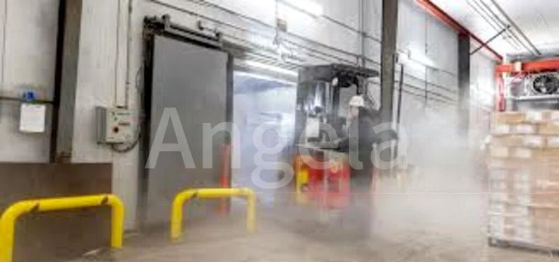 Factory / Workshop (B2) for Rent: Cold Room, Freezer, and Chiller Space - Image 2