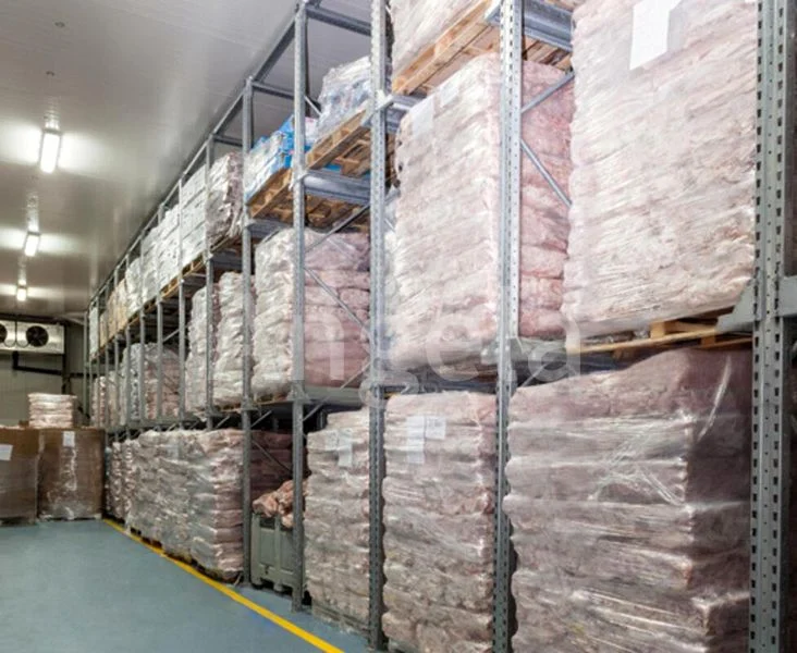 Factory / Workshop (B2) for Rent: Cold Room, Freezer, and Chiller Space - Image 3