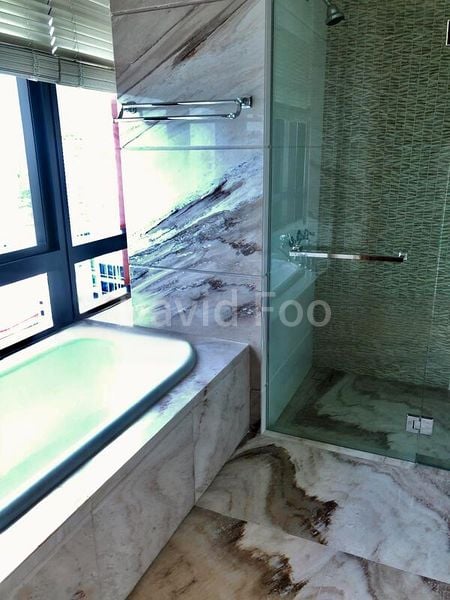 3 Bed Condo for Sale in  The Ritz-Carlton Residences Singapore, Cairnhill - Image 6