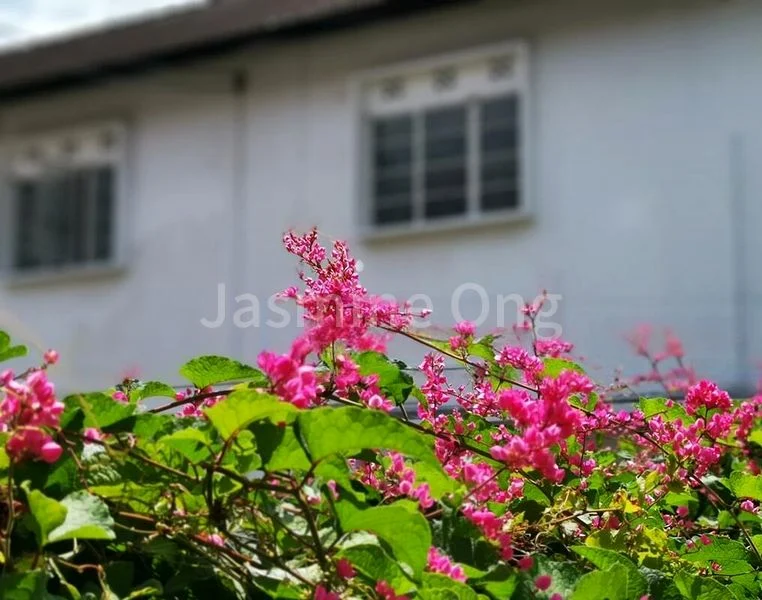 3 Bed Terraced House (Landed) for Rent in Joo Chiat Place - Image 1