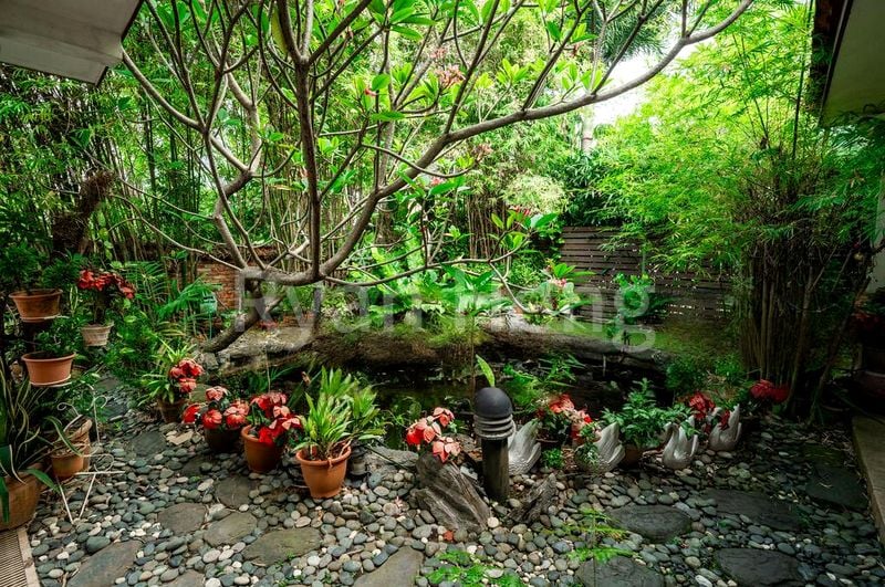 5 Bed Semi-Detached House (Landed) for Sale in  Apollo Gardens - Image 2