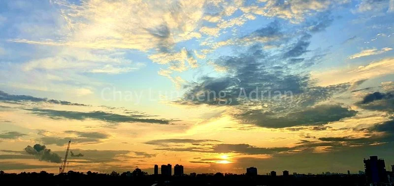 1 Bed Apartment (Condo) for Rent in  Robin Suites - Image 17