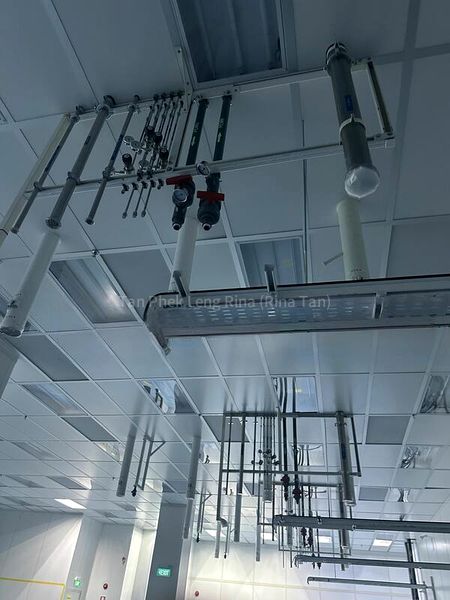 Light Industrial (B1) for Rent: Yishun Industrial Park - Image 16