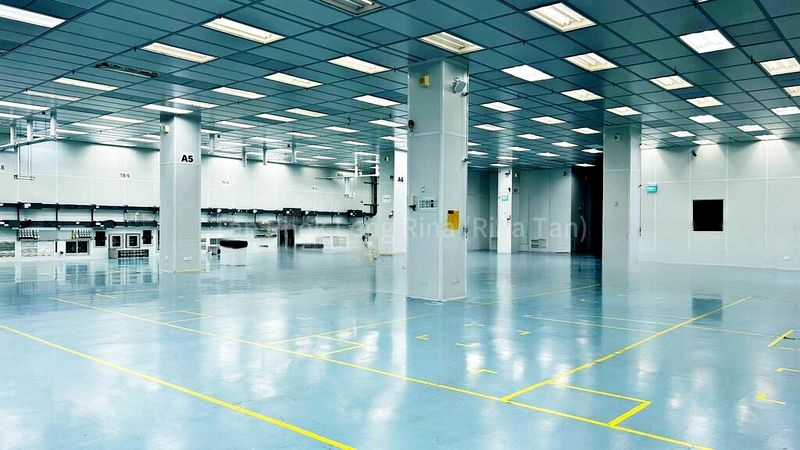 Light Industrial (B1) for Rent: Yishun Industrial Park - Image 5