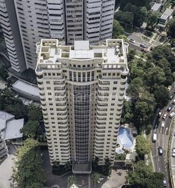 Studio Service Apartment (Condo) for Rent in  2 Mount Elizabeth Link - Image 4