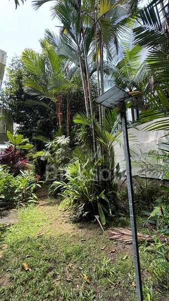 5 Bed Bungalow (Landed) for Sale in Dunearn Road - Image 6