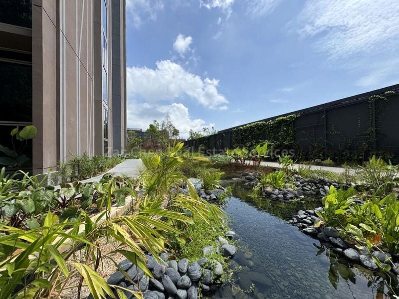 2 Bed Condo for Rent in  Pasir Ris 8 / Pasir Ris Mall - Image 15