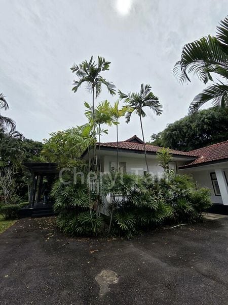 4 Bed Bungalow (Landed) for Rent in  The Blossomvale - Image 9