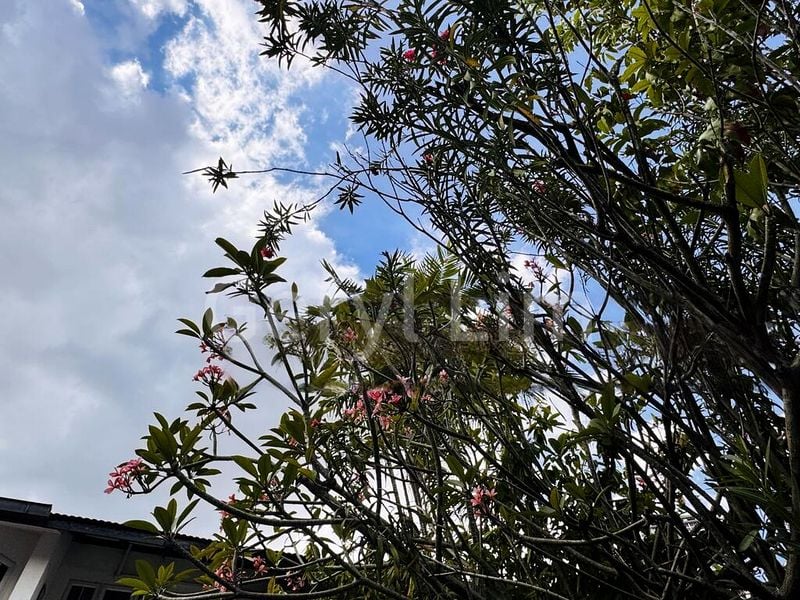 1 Bed Bungalow (Landed) for Sale in  Simei Green Condominium - Image 8