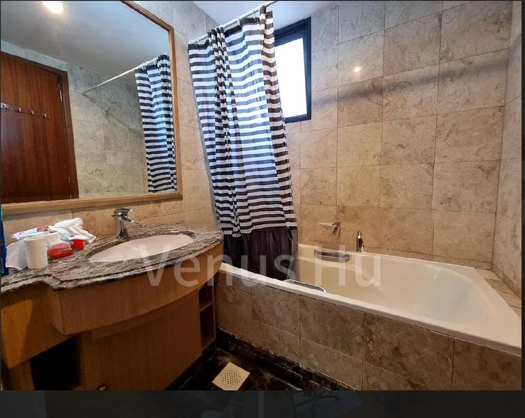 1 Bed Condo for Rent in  Tanglin View - Image 6