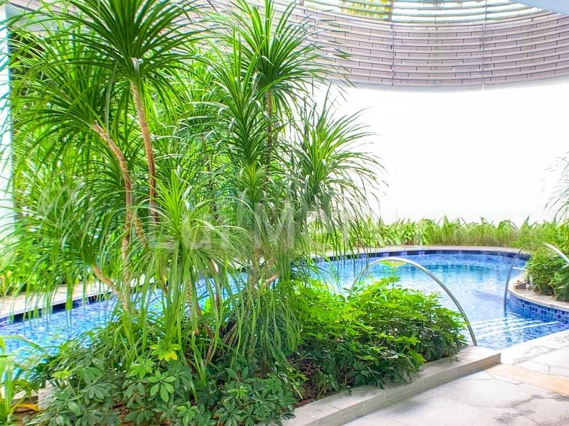 1 Bed Condo for Sale in  8 Saint Thomas - Image 12